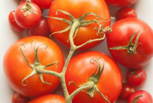 Vì sao không nên để cà chua trong tủ lạnh ?